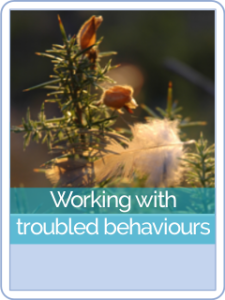 button parent hct-Working with troubled behaviours