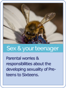 button hct 10Sex and your teenager