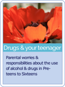 button hct 11 Drugs and your teenager