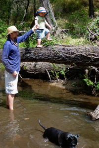 Dad with boy on log in water Two