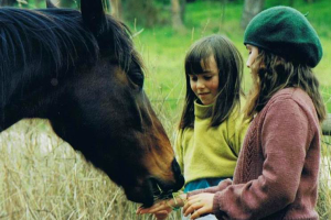 girls feeding horse